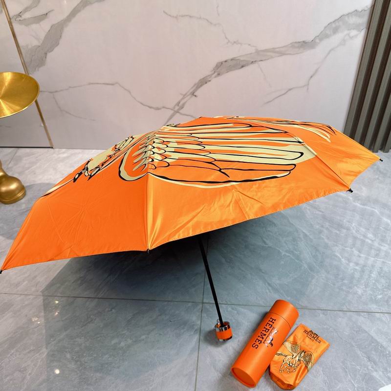 Hermes Umbrella E (44)